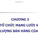 CHƯƠNG 3 TỔ CHỨC MẠNG LƯỚI VÀ LỰC LƯỢNG BÁN HÀNG CỦA DNTM