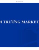 Bài giảng Môi trường marketing