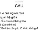 Kinh tế vi mô: Cầu