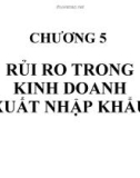 Bài giảng Quản trị rủi ro: Chương 5 - ThS. Võ Hữu Khánh