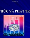 Bài giảng Tổ chức và phát triển