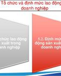 Bài giảng Tổ chức và định mức lao động trong doanh nghiệp - Chương 5: Tổ chức và định mức lao động sản xuất trong doanh nghiệp