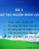 Bài 3: Đào tạo nguồn nhân lực