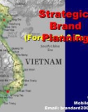 Bài thuyết trình: Strategic Brand Planning