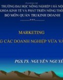 Bài giảng Marketing trong các doanh nghiệp vừa và nhỏ - PST.TS. Nguyễn Quang Cự