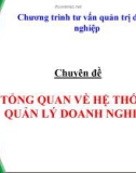 TỔNG QUAN VỀ HỆ THỐNG QUẢN LÝ DOANH NGHIỆP