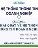 Bài giảng Hệ thống thông tin doanh nghiệp: Chương 1 - Đỗ Ngọc Như Loan