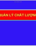 Bài giảng Quản lý chất lượng