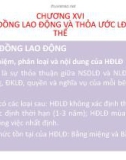 Bài giảng Quản trị nhân lực nâng cao: Chương 16 - TS. Nguyễn Tiến Mạnh