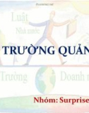 Bài thuyết trình: Môi trường quản trị