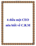 6 điều một CEO nên biết về C.R.M