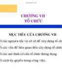 Bài giảng Nguyên lý Quản trị học - Chương 7