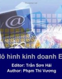 Bài giảng Thương mại điện tử: Chương 2 - Trần Sơn Hải, Phạm Thị Vương