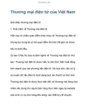 Thương mại điện tử của Việt Nam