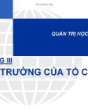 Bài giảng Quản trị học căn bản: Chương 3 - ThS. Phan Thị Thanh Hiền