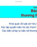 Giáo trình quản trị thương hiệu - Chương 3