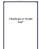 Chuyên gia và “kẻ phá hoại”