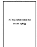 Kế hoạch tài chính cho doanh nghiệp