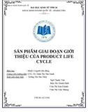 Tiểu luận Hành vi người tiêu dùng: Sản phẩm giai đoạn giới thiệu của Product Life Cycle