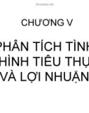 CHƯƠNG V PHÂN TÍCH TÌNH HÌNH TIÊU THỤ VÀ LỢI NHUẬN