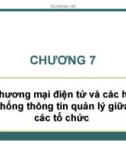 Bài giảng Hệ thống thông tin quản lý: Chương 7 - ThS. Thái Kim Phụng