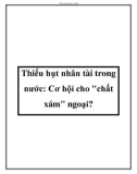 Thiếu hụt nhân tài trong nước: Cơ hội cho chất xám ngoại?