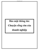 Bảo mật thông tin: Chuyện sống còn của doanh nghiệp