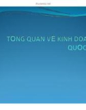 Bài giảngTổng quan về kinh doanh quốc tế