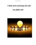 Chính sách marketing cho một sản phẩm mới