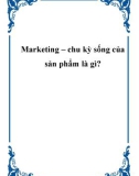 Marketing – chu kỳ sống của sản phẩm là gì?