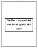 Sai lầm trong quản trị của doanh nghiệp nhà nước