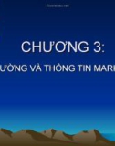 Bài giảng môn Marketing - chương 3 Môi trường và thông tin marketing