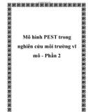 Mô hình PEST trong nghiên cứu môi trường vĩ mô - Phần 2