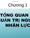 Bài giảng Quản trị nhân lực - Chương 1 Tổng quan quản trị nhân lực