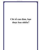 Chỉ số can đảm, bạn được bao nhiêu