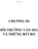 QUẢN TRỊ RỦI RO GV: ThS VÕ HỮU KHÁNH - CHƯƠNG III MÔI TRƯỜNG VĂN HOÁ VÀ NHỮNG RỦI RO