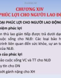 Bài giảng Quản trị nhân lực nâng cao: Chương 14 - TS. Nguyễn Tiến Mạnh