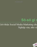 Giới thiệu Social Media Marketing cho Doanh Nghiệp vừa, nhỏ và bé xíu.