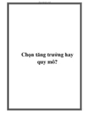 Chọn tăng trưởng hay quy mô?