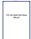 Giỏ vận mệnh chứa đựng điều gì?