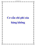 Cơ cấu chi phí của hàng không