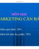 Bài giảng Giới thiệu Marketing căn bản