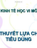 Kinh tế vi mô Chương 3