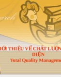 Bài giảng Giới thiệu về chất lượng toàn diện