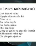 Bài giảng Quản trị rủi ro: Chương 7 - ThS. Võ Hữu Khánh (2017)