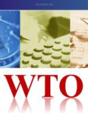 Tổng quan WTO