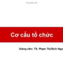 Bài giảng Cơ cấu tổ chức - TS. Phạm Thị Bích Ngọc