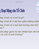 Bài giảng Quản trị học: Chương 3 - ĐH Trà Vinh