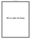 Hồ cá ở gầm cầu thang