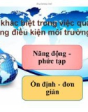 Bài giảng Điểm khác biệt trong việc quản trị trong điều kiện môi trường năng động phức tạp, ổn định đơn giản